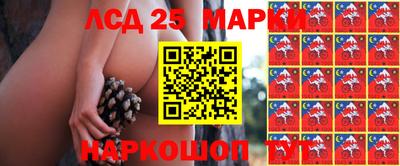 соль курить ск Гатчина